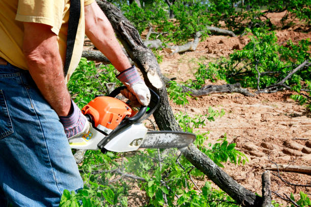 Best Leaf Removal  in Gold Bar, WA